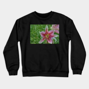 Survivor Lilly Crewneck Sweatshirt